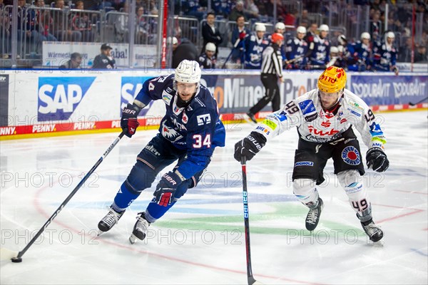 Game scene Adler Mannheim against Fischtown Pinguins Bremerhaven (PENNY DEL, German Ice Hockey