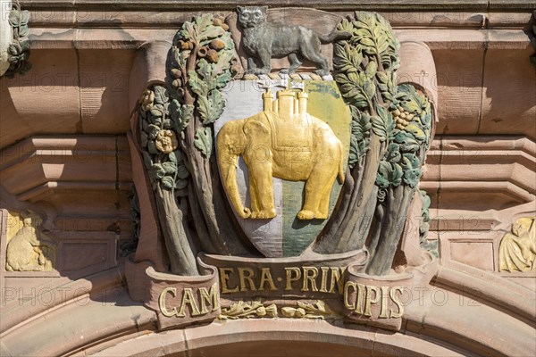 Elephant decoration Council House building opened 1917, Tudor style 20th century architecture,