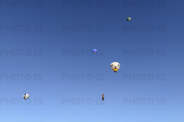 Five hot air balloons in the blue sky, Montgolfiade Tegernseer Tal, Balloon Week Tegernsee,