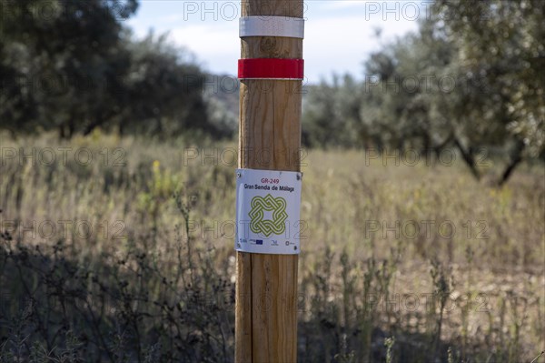 Signpost waymark for long distance footpath GR-249, Gran Senda de Malaga, Periana, Axarquia,