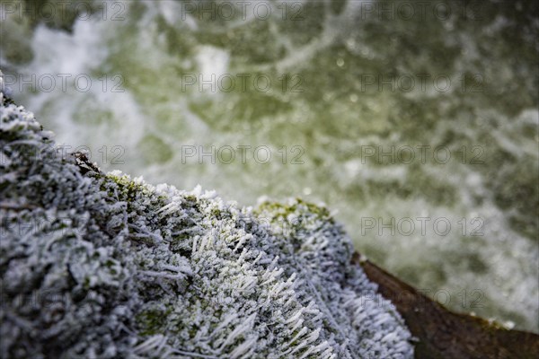 Severe frost has formed bizarre ice formations in the riverbed of the Gottleuba. Frozen spray
