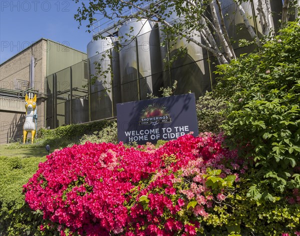 Babycham chamois trade mark mascot model, Showerings cider mill, Shepton Mallet, Somerset, England,