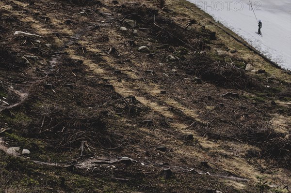 A skier uses a platter lift next to a deforested area, taken on a ski slope in the Jizera Mountains