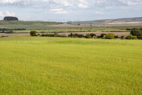 Remains of King's Play Hill neolithic Long Barrow in field near Heddington, England, UK chalk