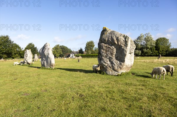 Standing stones in south east quadrant neolithic stone circle henge prehistoric monument, Avebury,