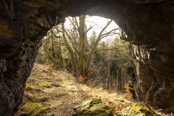 The Hohle Stein, a rock gate about three metres high and about four metres wide near Oelsen (area