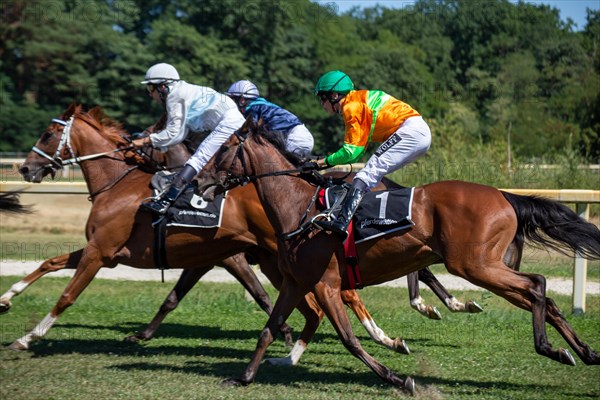 Race day at the racecourse in Hassloch, Palatinate. Prize of the Sparkasse Rhein-Haardt (Category