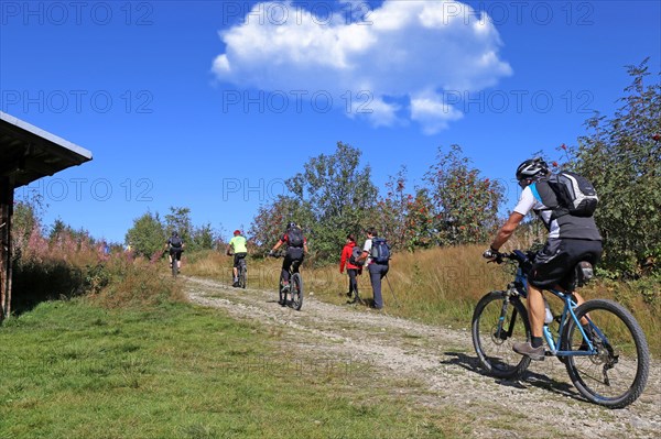 Mountain bike tour through the Bavarian Forest with the DAV Summit Club: Mountain bikers on the