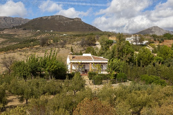 Landscape of scattered houses and limestone mountains view from Zalia, La Axarquia, Andalusia,