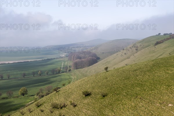 Fog clearing from chalk downs scarp slope Pewsey Vale, near Knap Hill, Alton Barnes, Wiltshire,