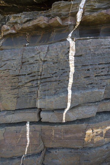White veins of quartzite forming dykes crossing layers of metamorphosed sedimentary rock in the