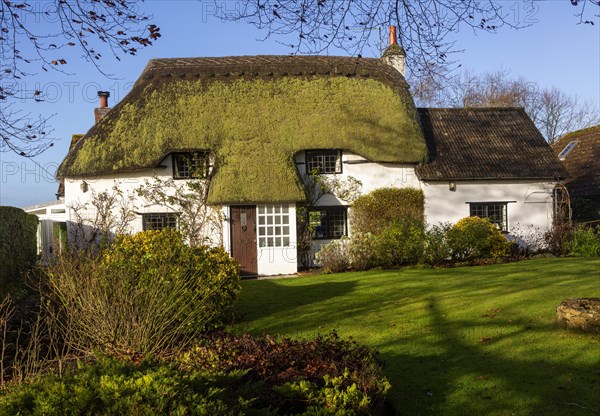 Pretty thatched country cottage home with green moss growing on thatch, Cherhill, Wiltshire,