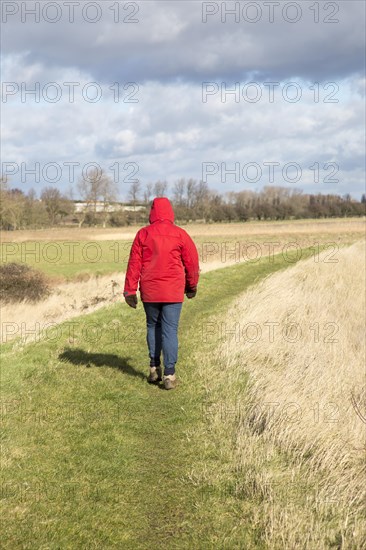 Woman wearing red winter jacket walking on raised coastal flood defence dyke embankment, Hollesley