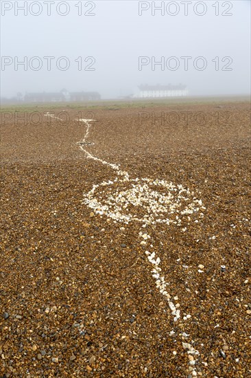 Coastal fog adds mystery to a line of white shells crossing pebble beach, Shingle Street, Suffolk,