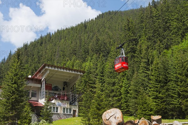 Cable car station in a green mountain landscape with a red cable car gondola surrounded by fir