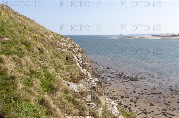 Looking south down the coast from Holy Island, Lindisfarne, Northumberland, England, UK towards