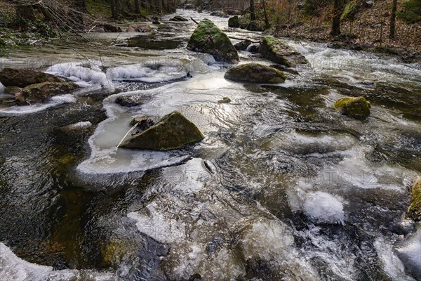 Severe frost has formed bizarre ice formations in the riverbed of the Gottleuba, Bergieshuebel,
