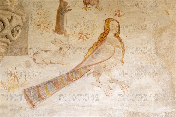 Image set of Casas Pintadas, Evora, Portugal unusual 16th-century murals paintings of creatures