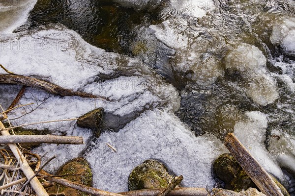Severe frost has formed bizarre ice formations in the riverbed of the Gottleuba, Bergieshuebel,