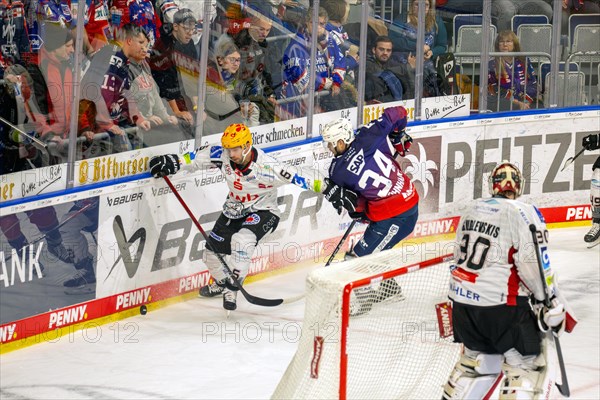 Game scene Adler Mannheim against Fischtown Pinguins Bremerhaven (PENNY DEL, German Ice Hockey