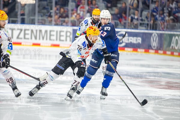 Game scene Adler Mannheim against Fischtown Pinguins Bremerhaven (PENNY DEL, German Ice Hockey