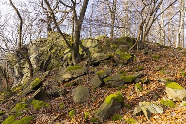 The Hohle Stein, a rock gate about three metres high and about four metres wide near Oelsen (area