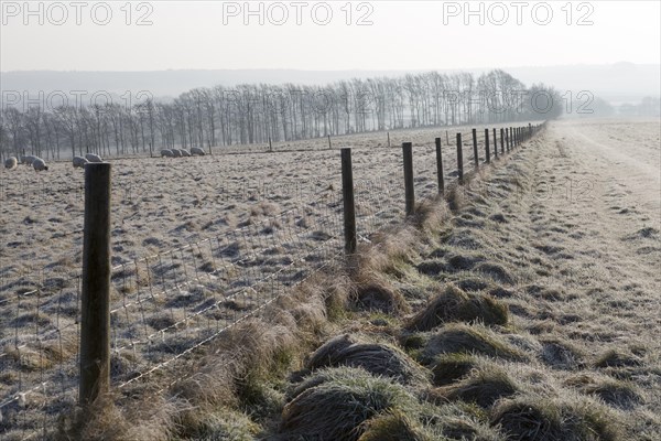 Frosty fence leading downhill from Windmill Hill, a Neolithic causewayed enclosure, near Avebury,