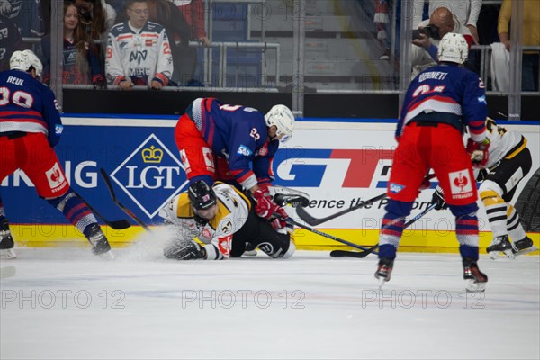 Game scene Adler Mannheim against Rouen Dragons (Champions Hockey League)