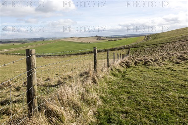 Undulating countryside upland chalk landscape in winter downland area of North Wessex Downs, near