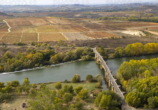 View over fields of grapevines and medieval bridge crossing River Ebro, San Vicente de la