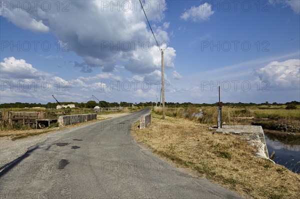 Road with a bridge and canals for oyster farming through a landscape in Saint-Pierre-d'Oleron,