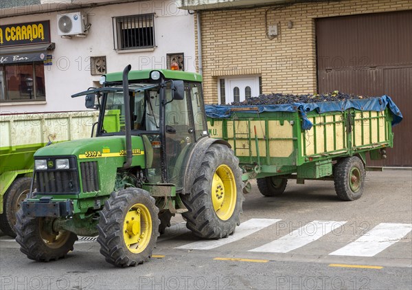 John Deere tractor with trailer of freshly harvested grapes, San Asensio, La Rioja Alta, Spain,