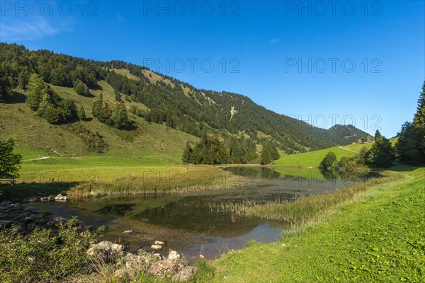 Alpine pasture at Lecknersee, humpback meadow, water reflection, municipality of Dornbirn,