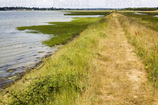 Summer landscape flood defence river wall path on River Deben tidal estuary, Sutton, Suffolk,