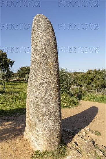 Neolithic standing stone 4 metres high called the Menir dos Almendres, near Evora, Alentejo,