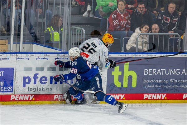 Game scene Adler Mannheim against Fischtown Pinguins Bremerhaven (PENNY DEL, German Ice Hockey