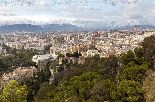 Cityscape view over city centre high density buildings, Malaga, Andalusia, Spain, cathedral church