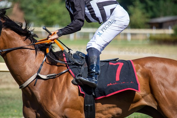 Race day at the racecourse in Hassloch, Palatinate. Cantering in in front of the Hassloch Mile