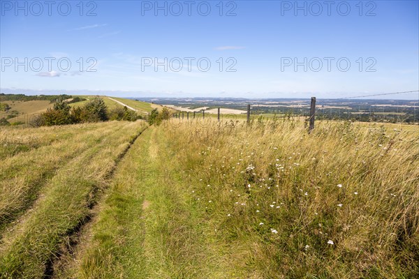 Track along top of chalk scarp escarpment slope of Inkpen Hill, at Walbury Camp, Berkshire,