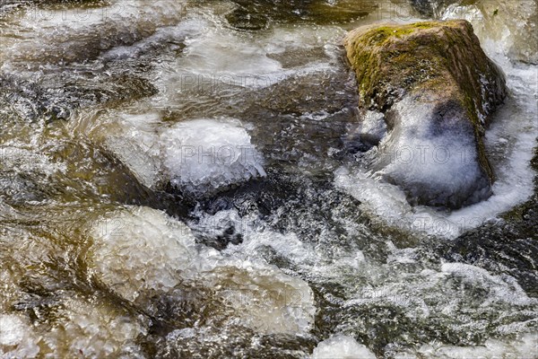 Severe frost has formed bizarre ice formations in the riverbed of the Gottleuba, Bergieshuebel,