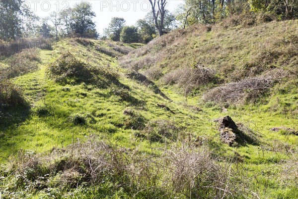 Sidbury Camp or Sidbury Hill Iron Age hill fort, Haxton Down, near Everleigh, Wiltshire, England,