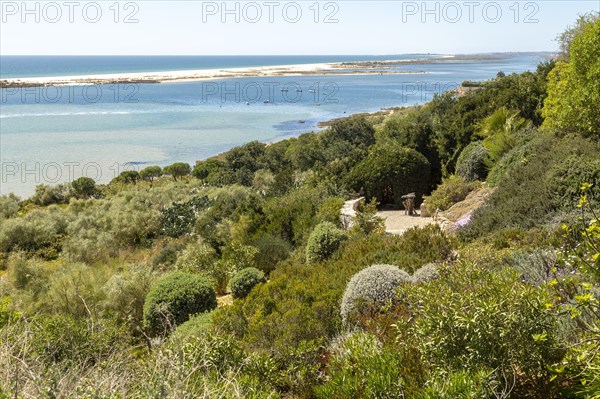 Coastal wooded landscape of pristine beaches and lagoon behind offshore sandbar, Cacela Velha, Vila