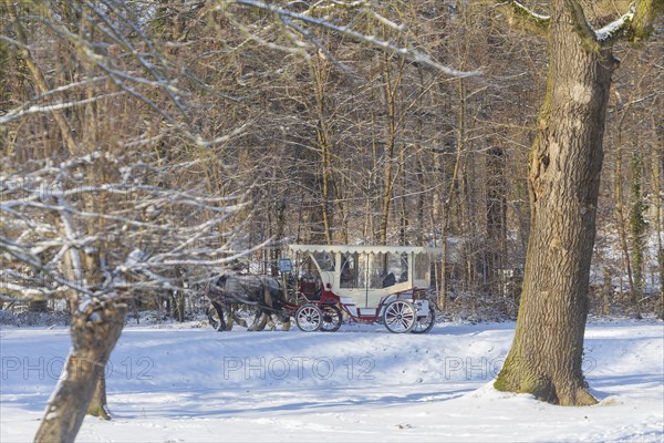 Carriage ride along the canal between the hunting lodge and the Fasanenschloesschen, Moritzburg,