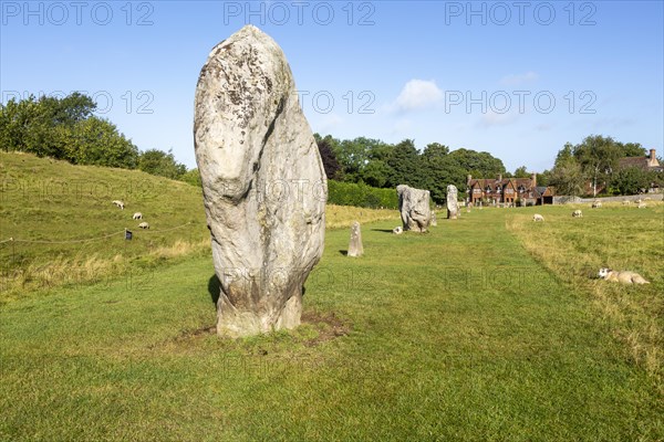 Standing stones in south west quadrant neolithic stone circle henge prehistoric monument, Avebury,