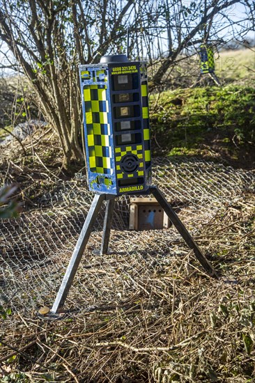 Eviction of badgers clearance of badger sett using metal fencing and one way exit gates, part of