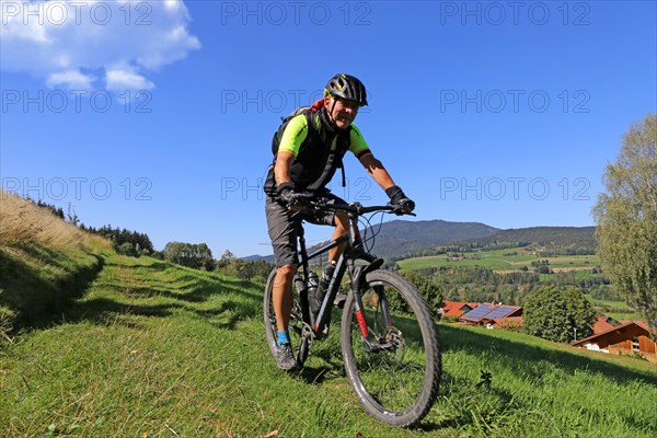 Mountain bike tour through the Bavarian Forest with the DAV Summit Club: Descent in a meadow paths