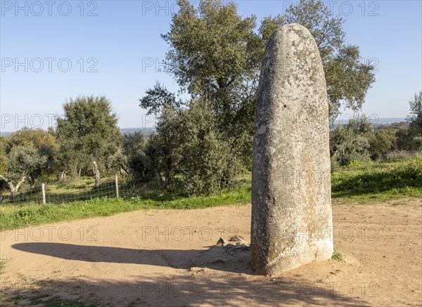 Neolithic standing stone 4 metres high called the Menir dos Almendres, near Evora, Alentejo,
