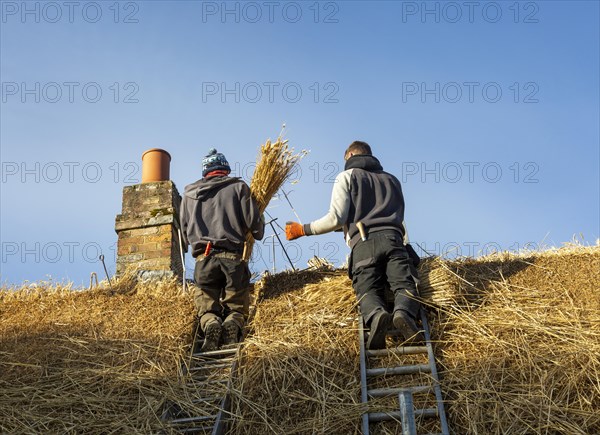 Thatchers working on roof of thatched country cottage, Great Bedwyn village, Wiltshire, England, UK