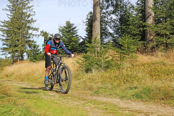 Mountain bike tour through the Bavarian Forest with the DAV Summit Club: Mountain bikers in the