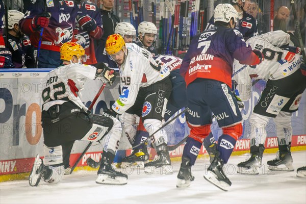 Game scene Adler Mannheim against Fischtown Pinguins Bremerhaven (PENNY DEL, German Ice Hockey
